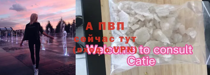 Alfa_PVP СК Гурьевск